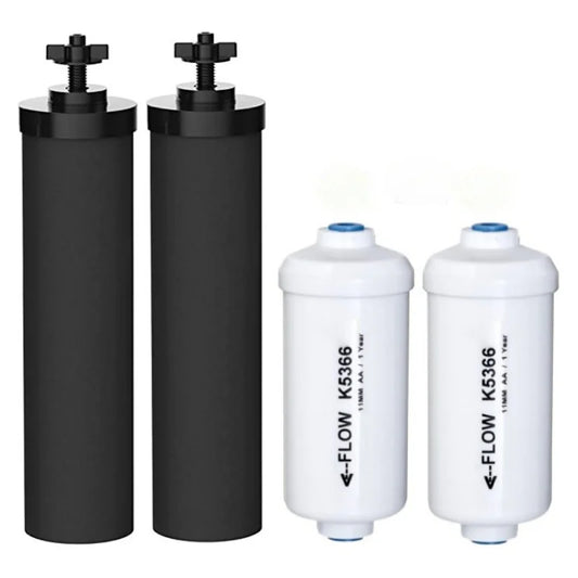 Replacement 2 BB9-2 and 2 Fluoride Water Filter PF-2 Compatible with Black Berkey Gravity Water Filtering System(1-2Pack)